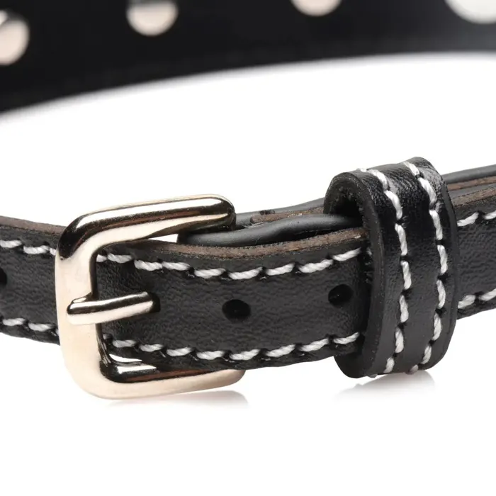 STRICT Male Sex Toys Strict Rhinestone Choker with ORing